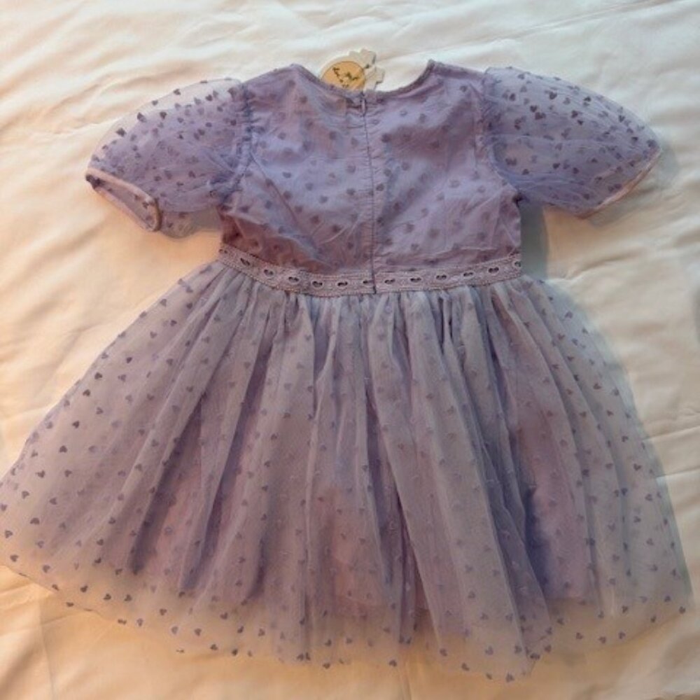 Doe a Dear Velvet Heart Mesh Dress Purple